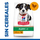 Hill’s Science Plan Puppy Small & Medium Pollo pienso para perros, , large image number null